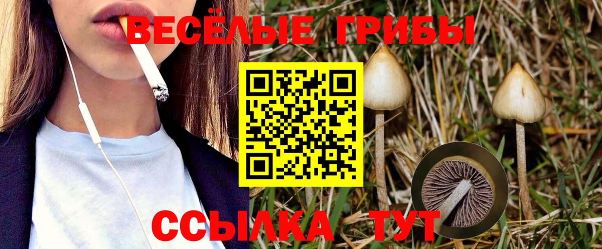 Галлюциногенные грибы Cubensis Нальчик